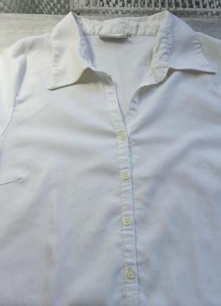 Жіноча, біла блуза, сорочка hennes collection