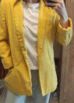 Піджак-жакет