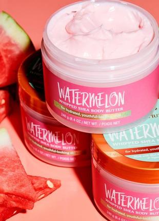 Баттер крем для тіла watermelon whipped body butter tree hut 240g