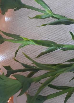 Невідомі, дуже реалістичні квіти ручної роботи з холодної порцеляни.