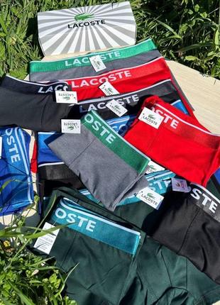 Survetement lacoste dhgate hotsell