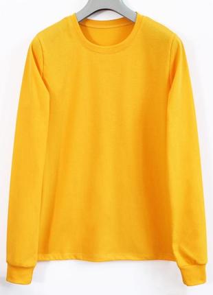 Реглан мужской хлопок от 400 грн