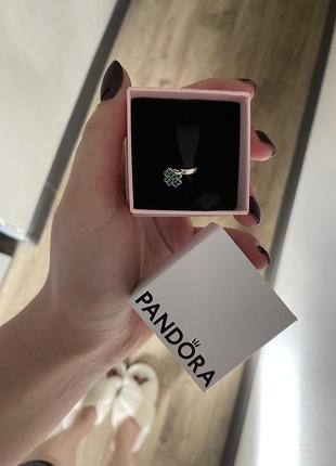 Шарм pandora
