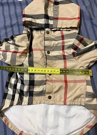 Дождевик для собаки 7