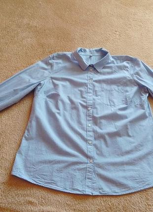 Классическая голубая рубашка xl3 фото