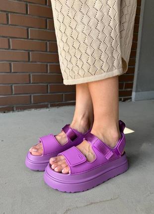 Босоножки ugg goldenglow sandals pink