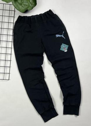 Спортивные штаны puma