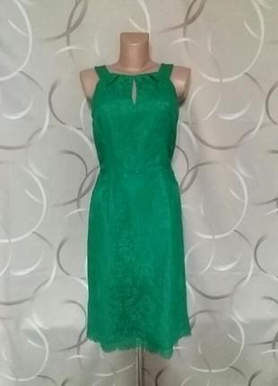 Ошатна сукня міді мереживна соковитого зеленого кольору прямого приталеного силуету
