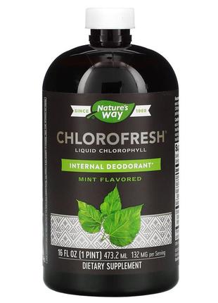 Nature's way, chlorofresh, рідкий хлорофіл, м’ята, 132 мг, 480 мл