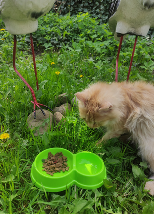 Подвійна миска для води та корму, котам і собакам