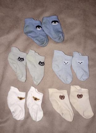 Носки детские 0-9 мес 5 пар зверюшки