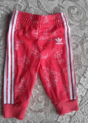 Спортивні штани