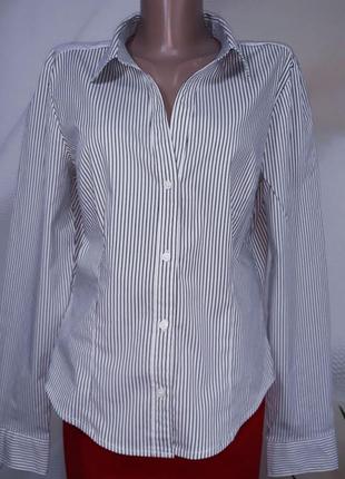 Распродажа! блуза-рубашка marco'polo