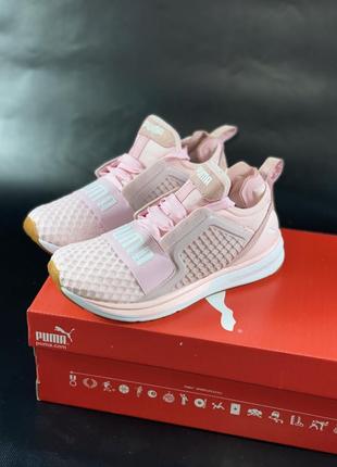 Кроссовки puma ignite, adidas ozelia, nike air max, nike air force 1, nike air jordan 1, nike zoom fly, nike 384360-02 5, nike cortez, nike m2k tekno