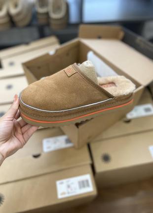 Тапочки мюлі сабо ugg birkenstock