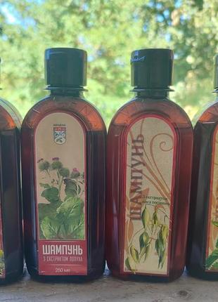 Лікувальні натуральні шампуні авіцена