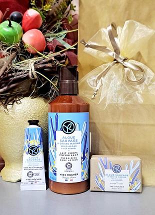 Подарунковий набір морські водорості ів роше