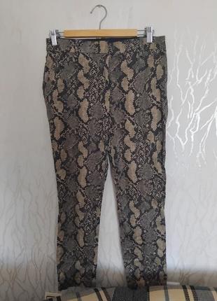 Штаны h&m