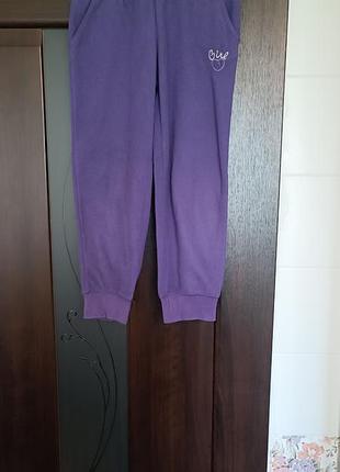 Флисовые спортивные штаны ovs