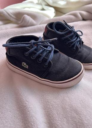 Хайтопы lacoste