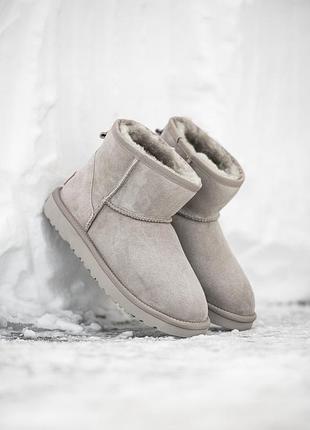 Угги ugg classic mini