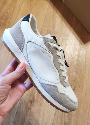 Кроссовки кожа и замш zara
