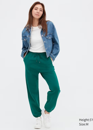 Джоггеры uniqlo штаны спортивные