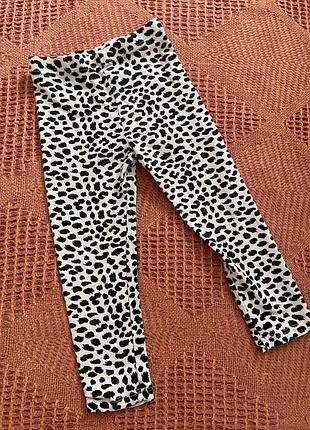 Лосини, штани