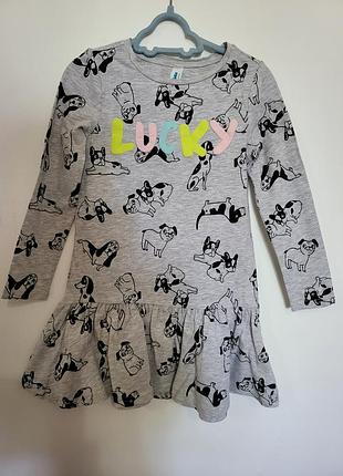 Acoola платье с песиками