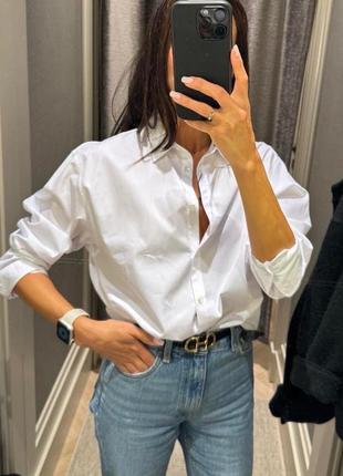 Рубашка сорочка поплин базова классика massimo dutti оригинал