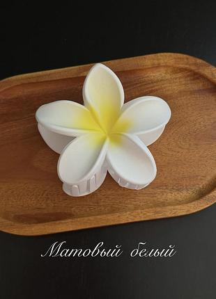Самый большой выбор заколок гавайский цветок плюмерия emi jay зажим крабик