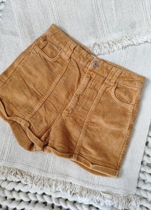 Вельветові шорти bershka