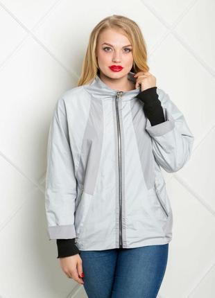 Ветровка miorichi в-1 50 серый (03001-gr-grey50)