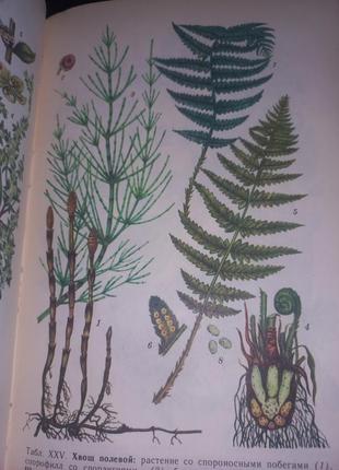 Івашин. лікарські рослини україни 1978 (б/у)