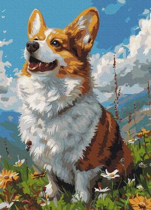 Картина по номерам "солнечный корги" bs53943, 40x50 см