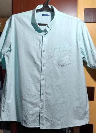 Ого-го какой размерчик. мужская тенниска большой размер, шведка батал