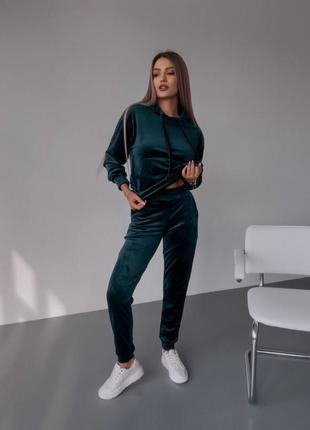 Велюровий спортивний костюм з худі з капюшоном з кишенею кенгуру з манжетами на рукавах з штанами з кишенями з манжетами