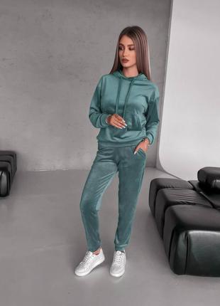 Велюровий спортивний костюм з худі з капюшоном з кишенею кенгуру з манжетами на рукавах з штанами з кишенями з манжетами