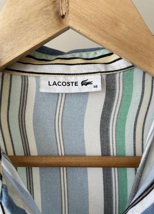 Lacoste сорочка4 фото