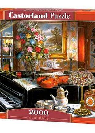 Пазли "будинок музиканта", 2000 ел