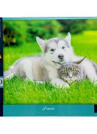 Пазли класичні (1000 елементів), friends