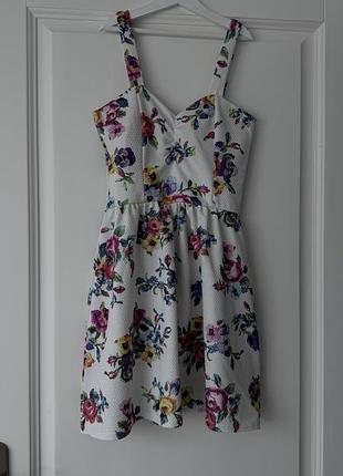 Cameo rose