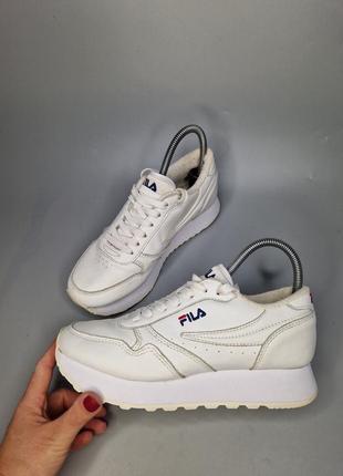 Кросівки fila