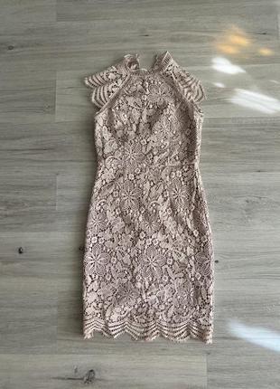 Сукня chi chi london