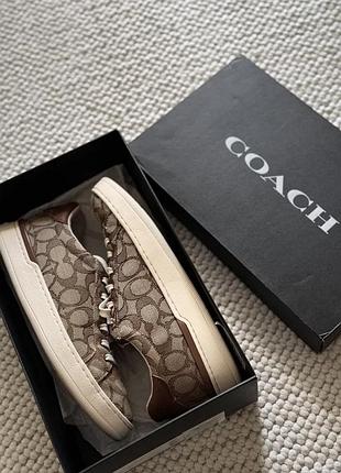 Кеди coach