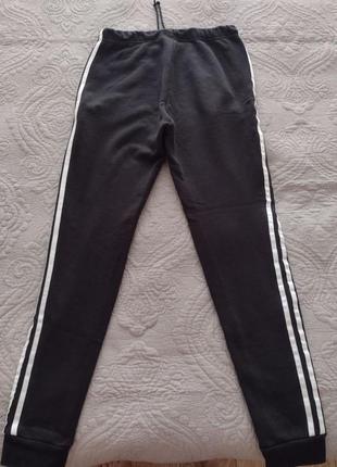 Спортивні штани