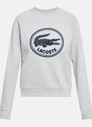Свитшот лакостое (lacoste)