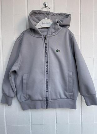 Олимпийка на мальчика 4 года lacoste