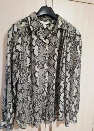 Блуза з зміїним принтом h&m 50р
