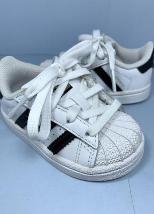 Кросівки шкіряні adidas superfit
